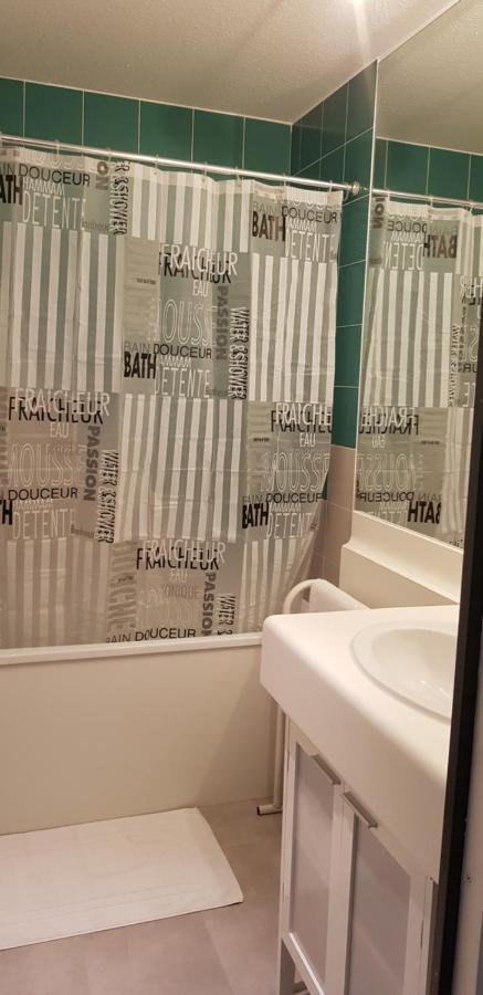 Appartement Cinema Aux Portes Du Futuroscope Шасней дю Пуату Екстериор снимка